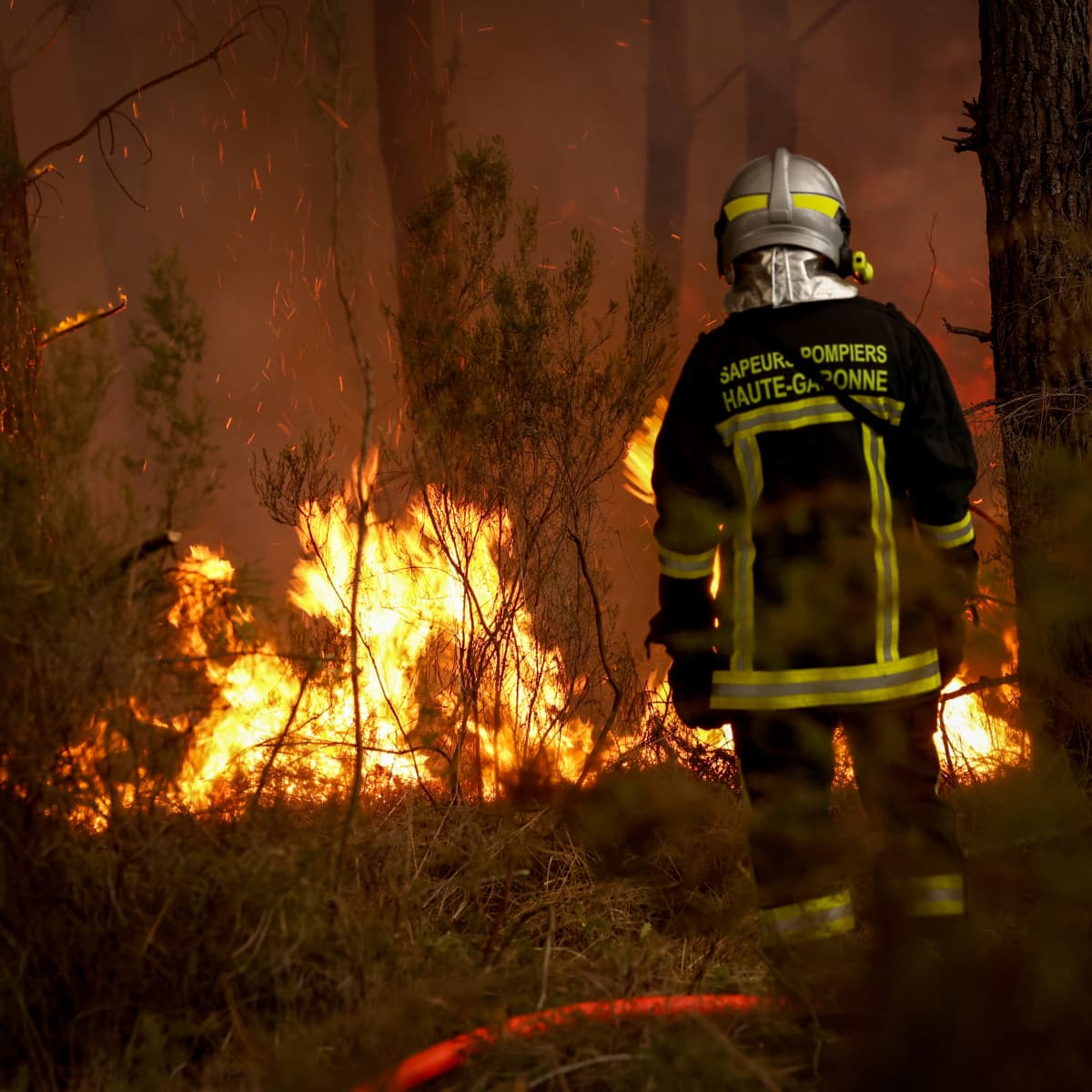 Crisis Meeting Called as Over 250,000 Evacuate Their Homes Due to Wildfires